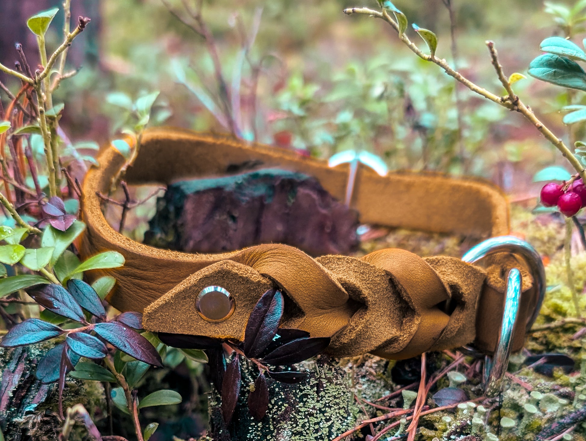 Halsband Karamell Fettleder - Chaosqueens Manufaktur