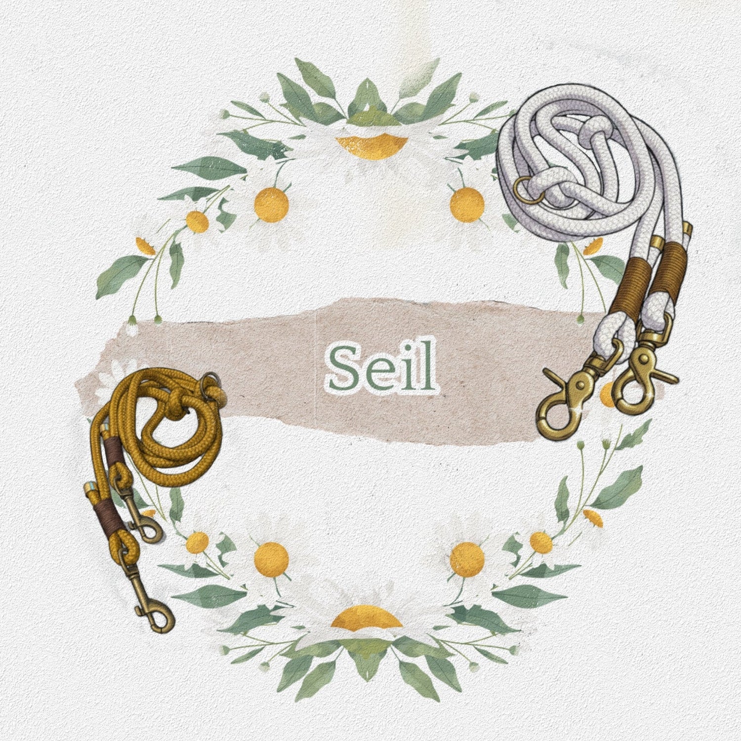 Seil