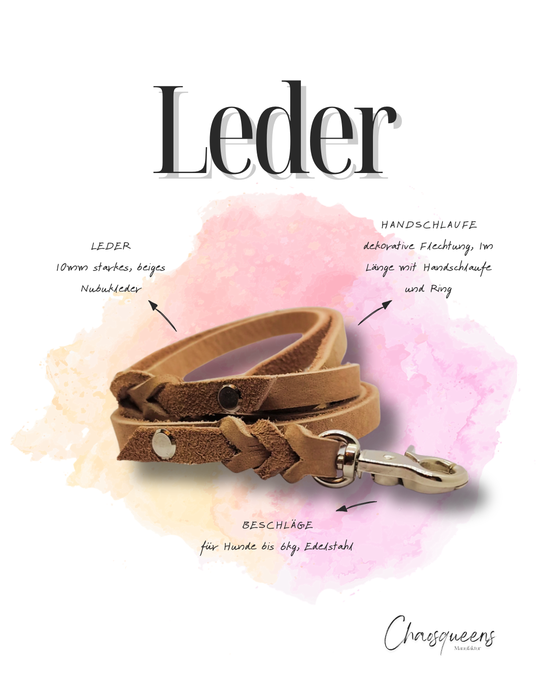 Führleinen Leder