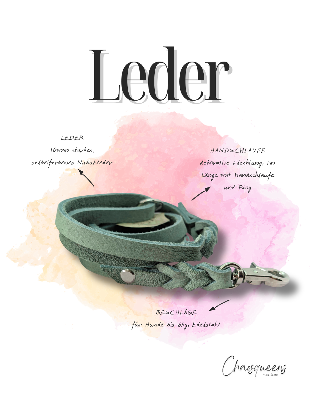 Führleinen Leder
