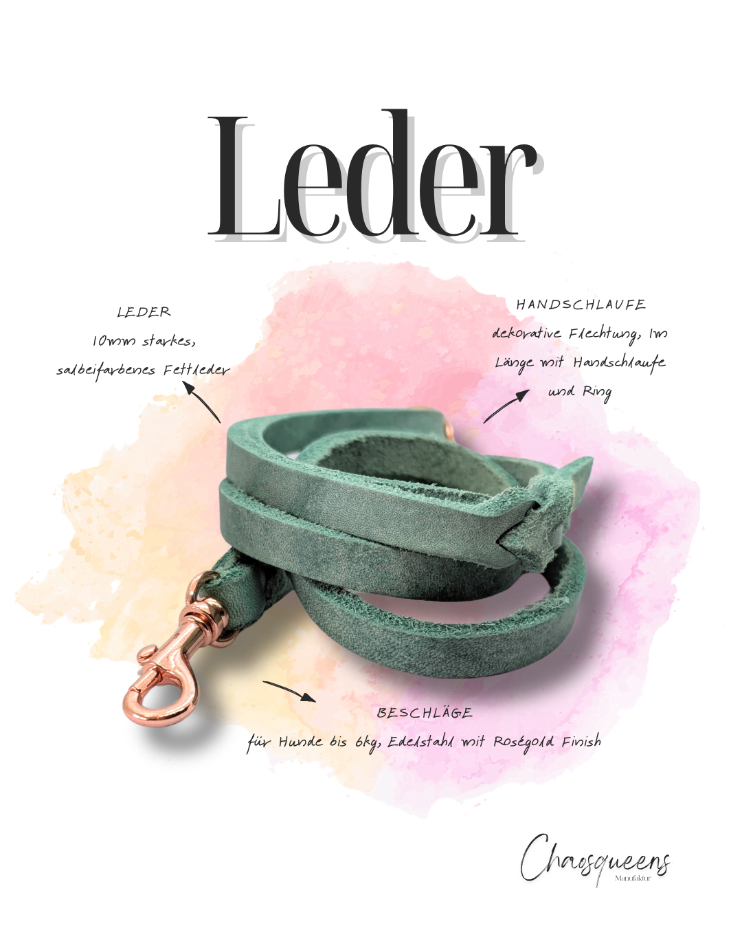 Führleinen Leder