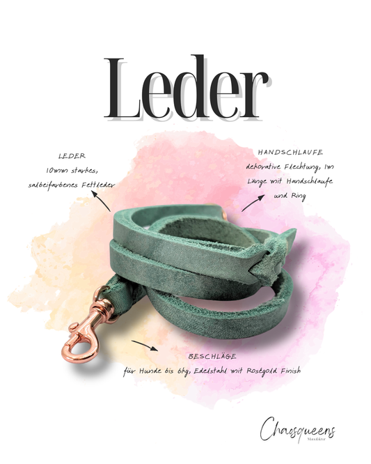 Führleinen Leder