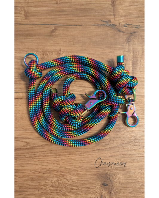 Führleine Rainbow Road