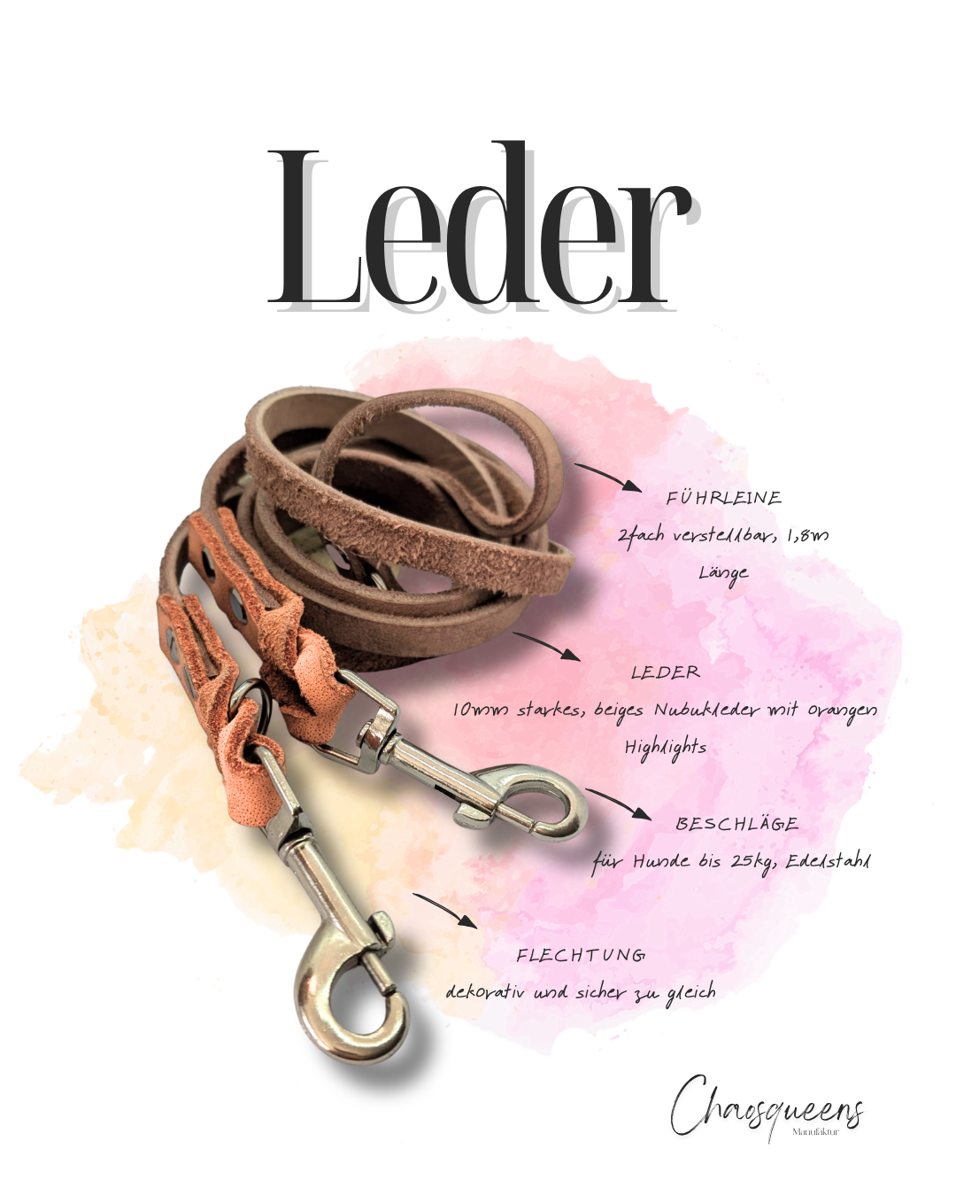 Führleinen Leder