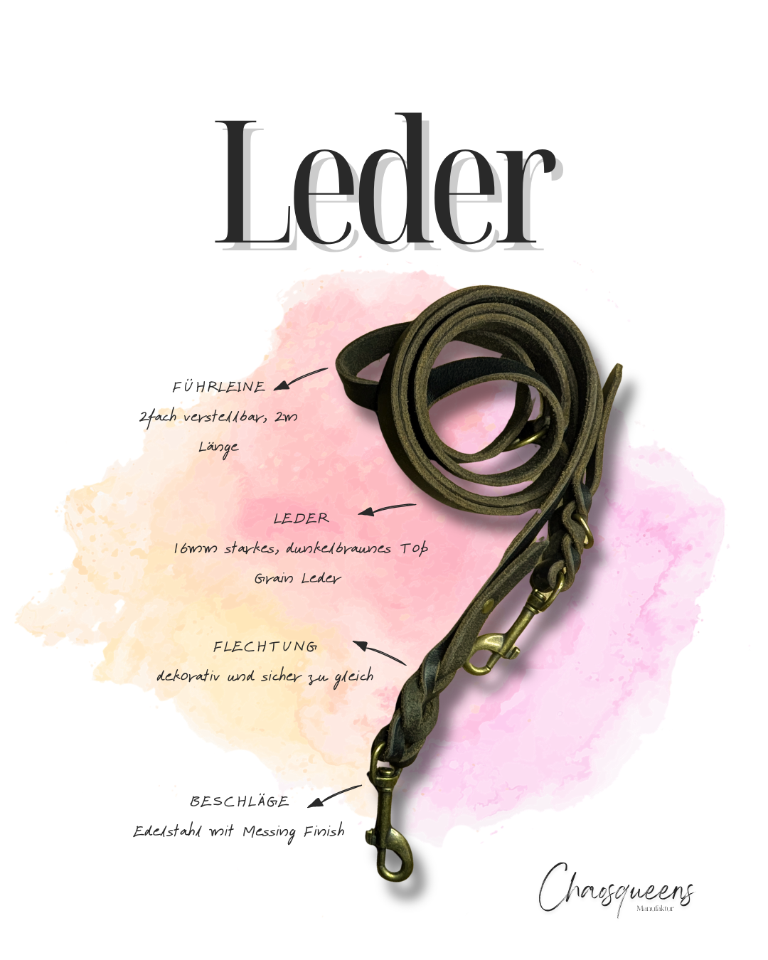 Führleinen Leder