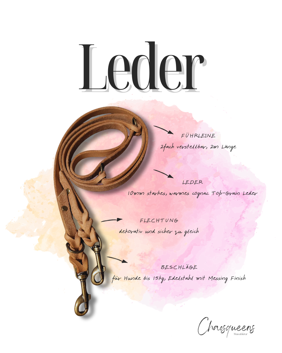 Führleinen Leder