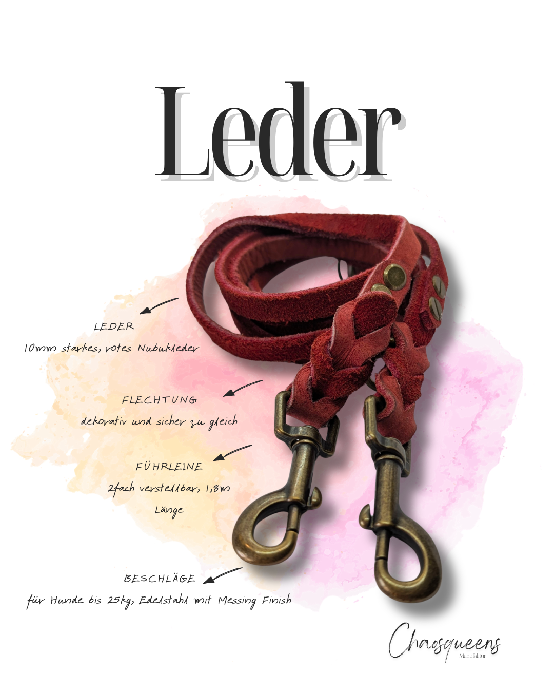 Führleinen Leder