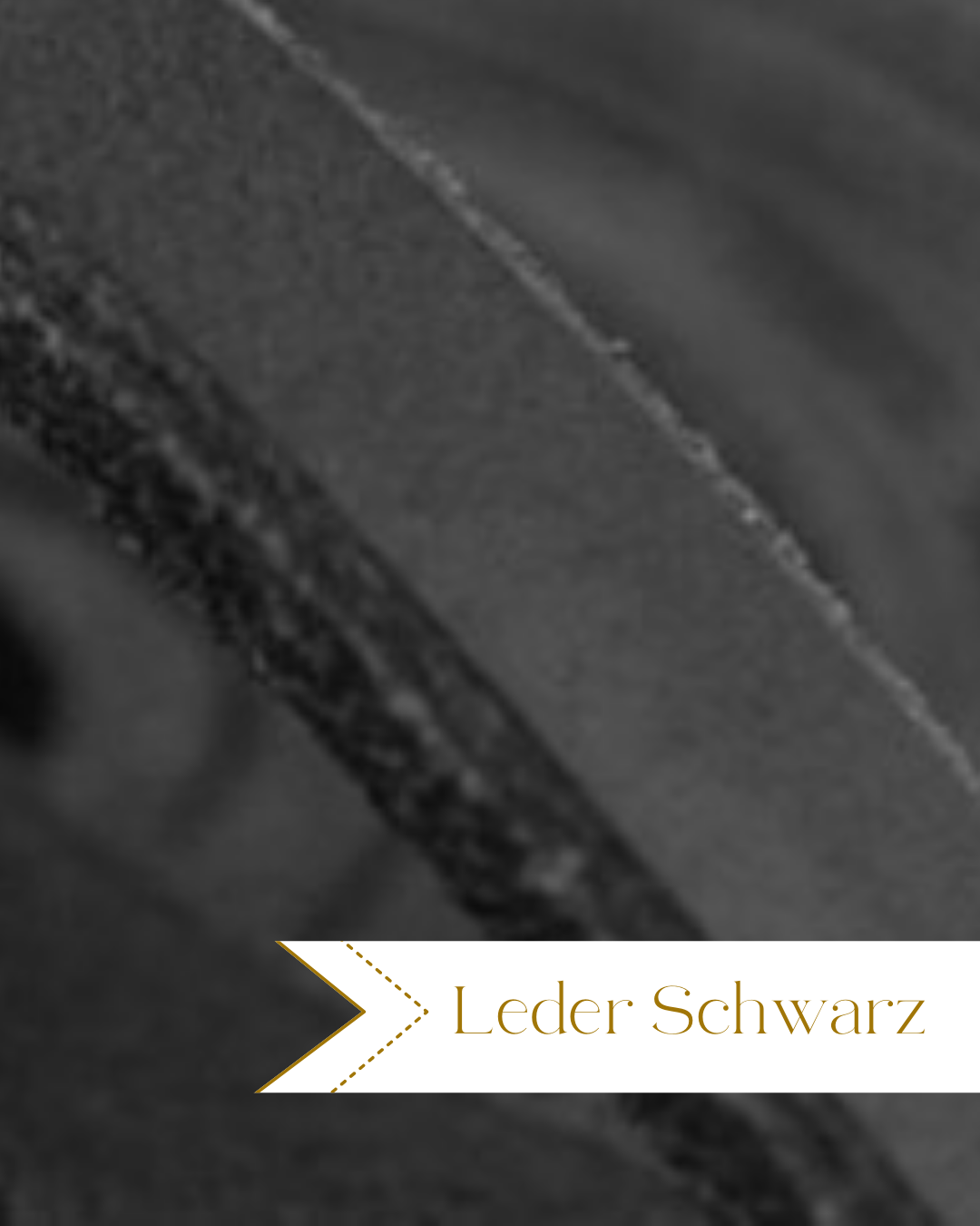 Lederführleine mit Handschlaufe