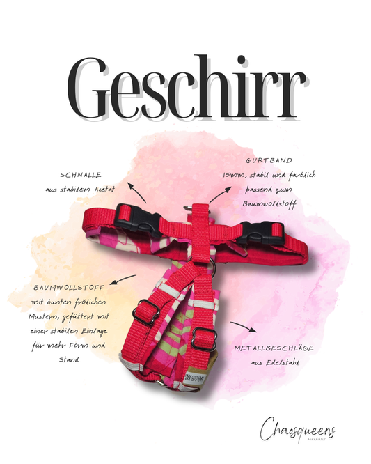 Geschirre