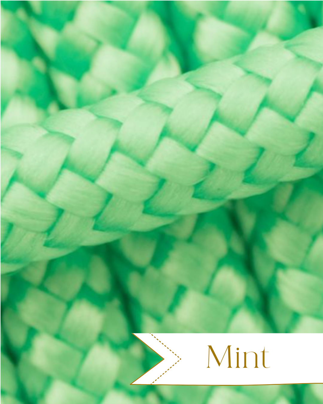 Zugstopphalsband Seil S