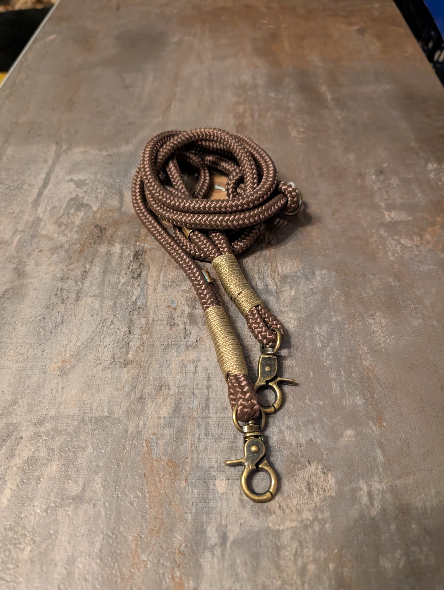 Braun mini 2m Führleine