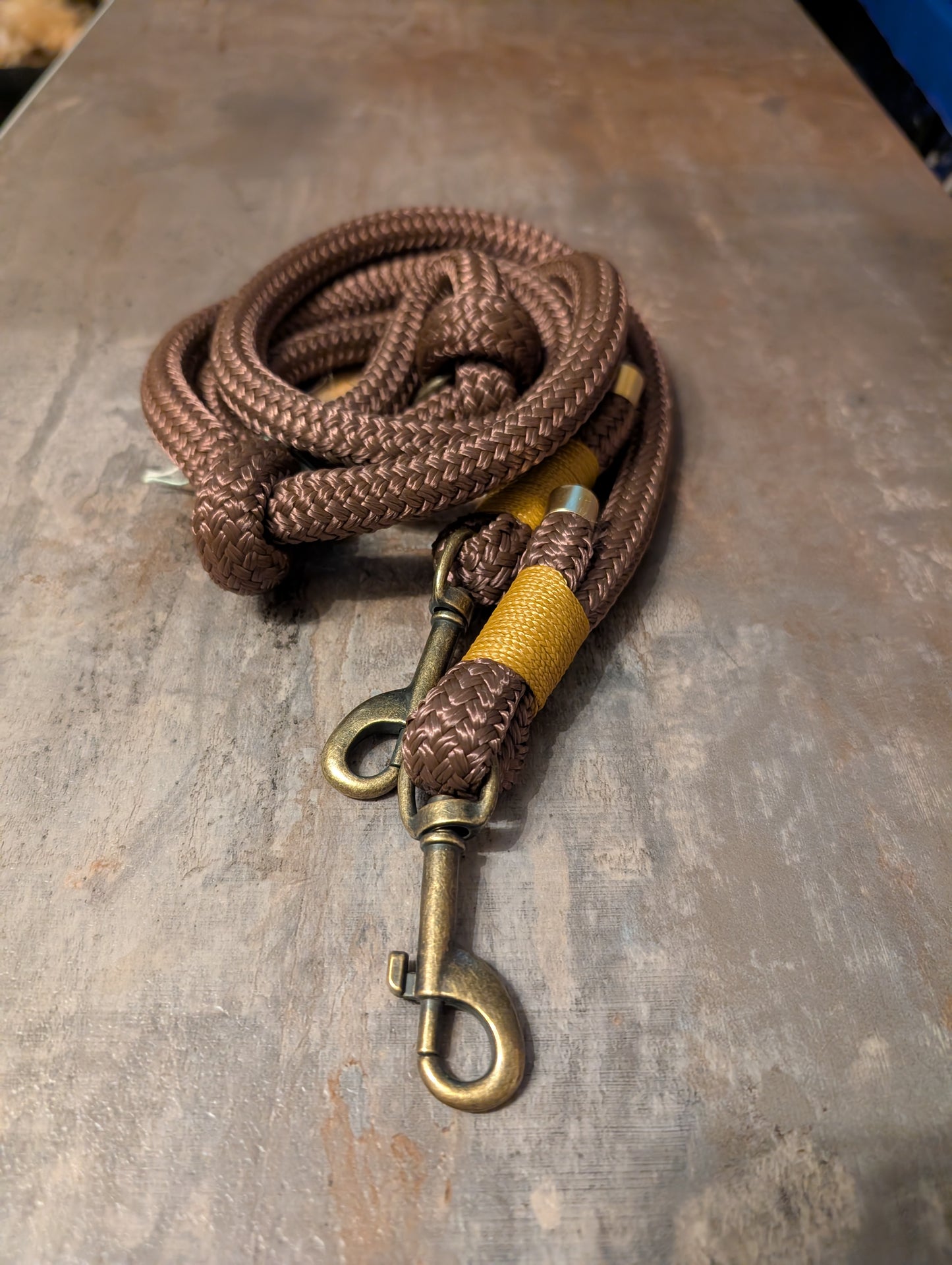 Braun extreme 1,5m Führleine