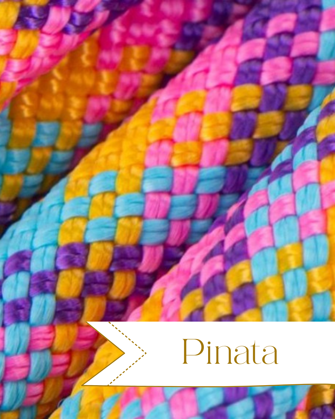 2m Führleine Seil 8mm