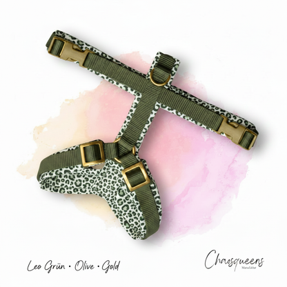 Geschirr Leo Grün – Olive · Gold