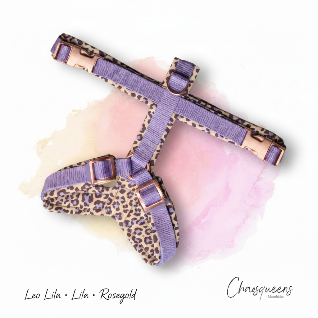 Geschirr Leo Lila – Lila · Rosegold